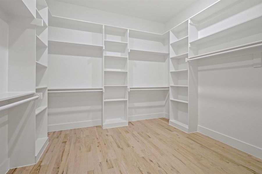 Walk in closet featuring light hardwood / wood-style floors