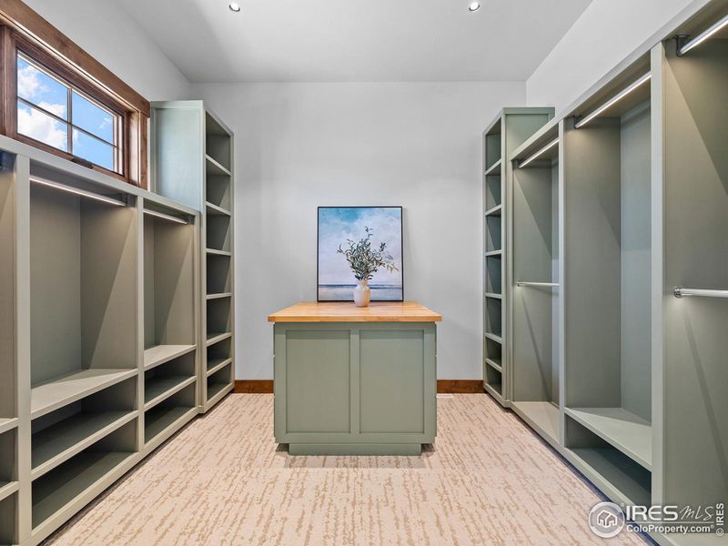 2823 Majestic View Dr, Timnath, CO 80547 - Walk In Closet