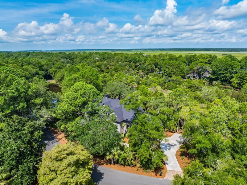 Natural landscape and outdoor views near  in Kiawah Island (Image 77).