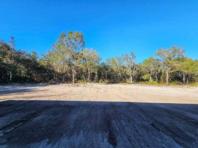 Site preparation for new homesites in , Deland (Image 33).