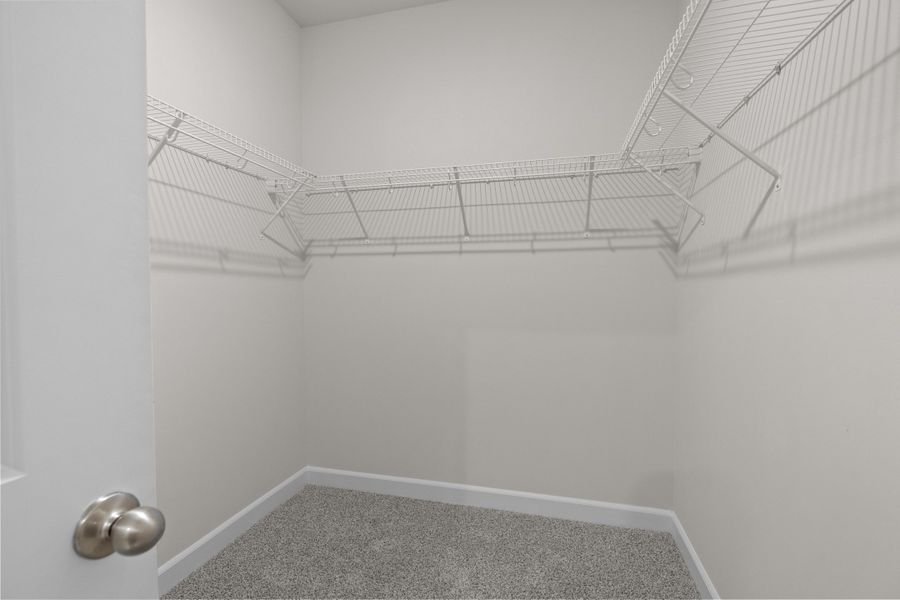 Spacious, unfurnished interior of a new home in Waterside - Coastline Series, Longs (Image 24).