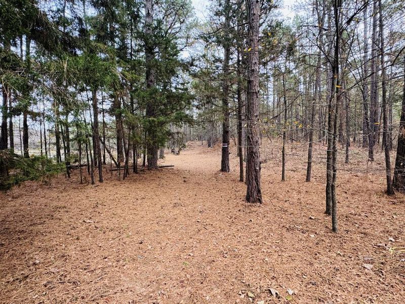 Natural landscape and outdoor views near  in Powderly (Image 12).