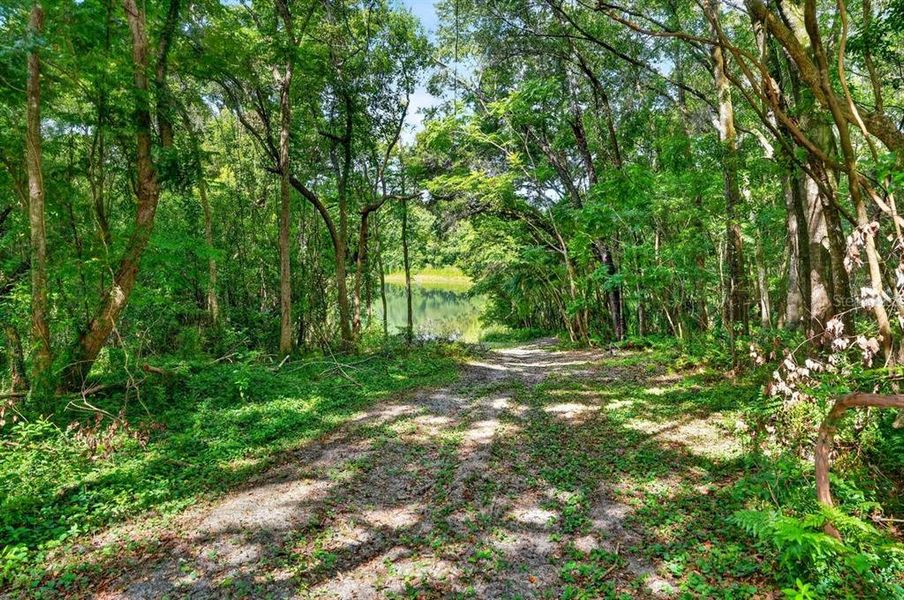 Natural landscape and outdoor views near  in Deland (Image 48).