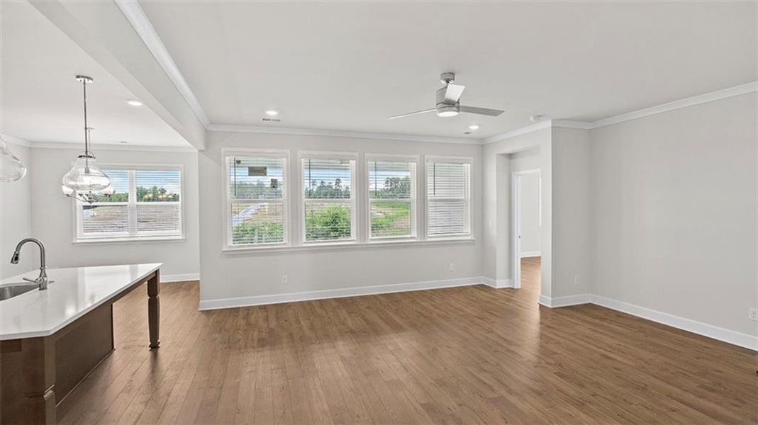 Spacious, unfurnished interior of a new home in Evergreen Crossing, Locust Grove (Image 25).