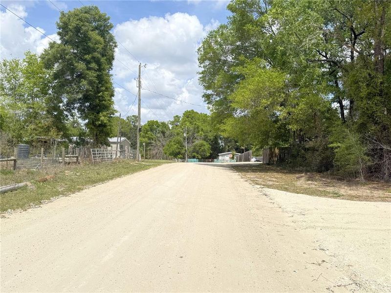Natural landscape and outdoor views near  in Williston (Image 17).