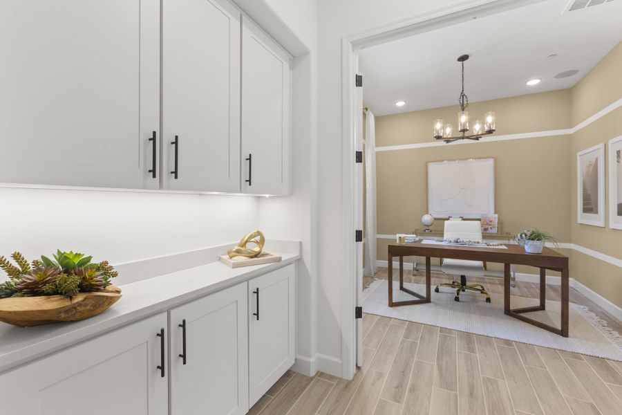 Cantabria Mint Model - Stop-n-Drop - Study