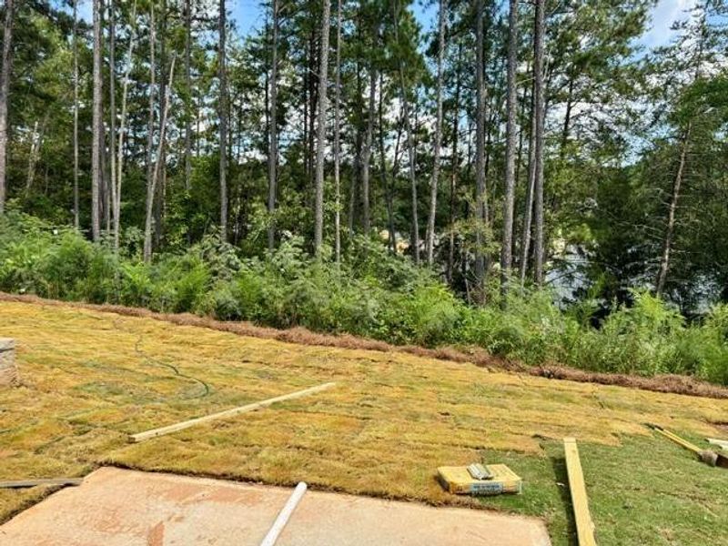 Natural landscape and outdoor views near Park Center Pointe in Mableton (Image 12).