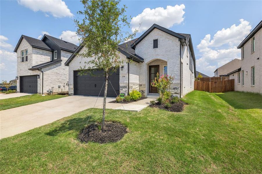 Spec Elevon 256 Bright Alcove-002 Spec Elevon 256 Bright Alcove-002