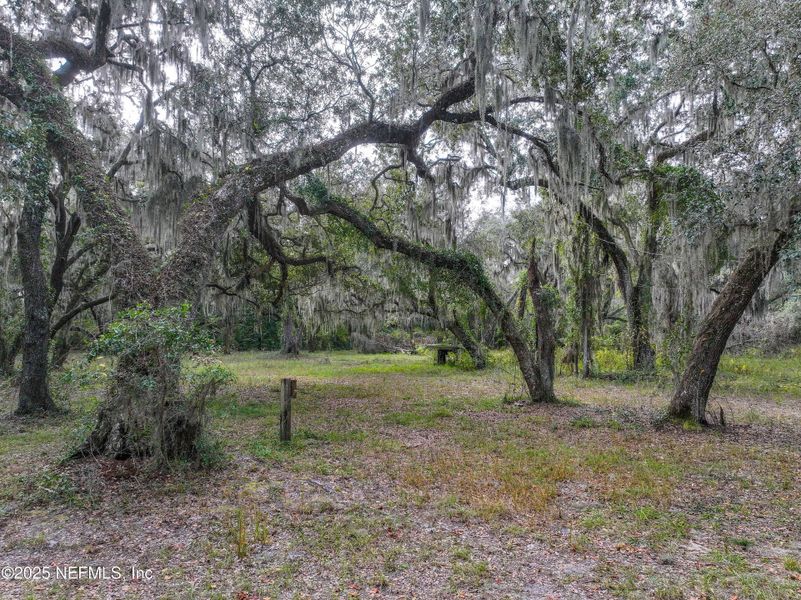 Natural landscape and outdoor views near in St. Augustine (Image 24). Natural landscape and outdoor views near in St. Augustine (Image 24).