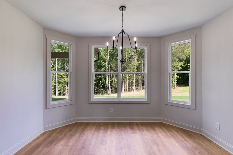 Spacious, unfurnished interior of a new home in Harmon Springs, Carrollton (Image 34).