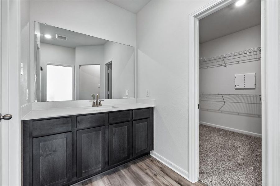 Bathroom with hardwood / wood-style floors and vanity