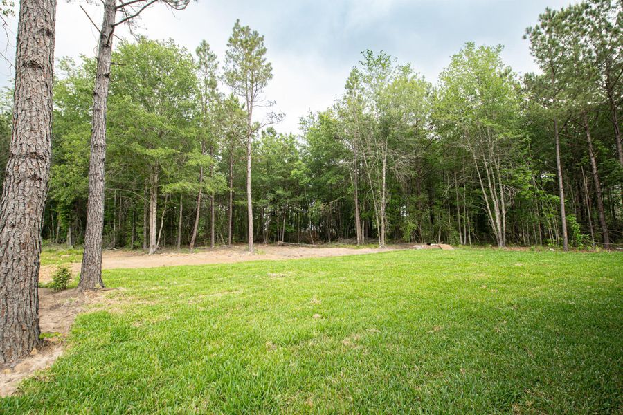 Natural landscape and outdoor views near  in Dayton (Image 42).