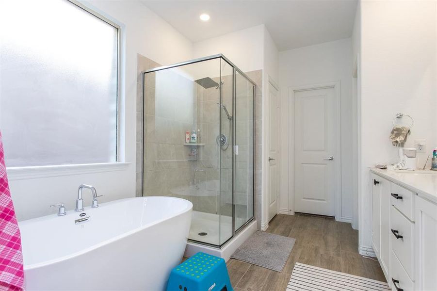 Bathroom with vanity and independent shower and bath