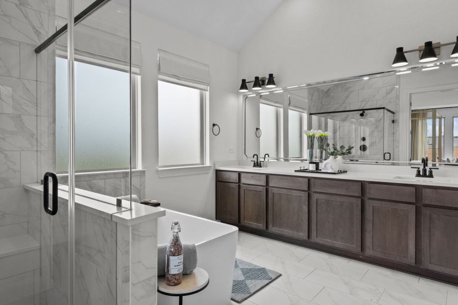 Owner's Bath