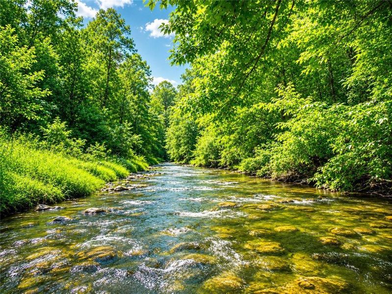 Natural landscape and outdoor views near  in Ellijay (Image 38).