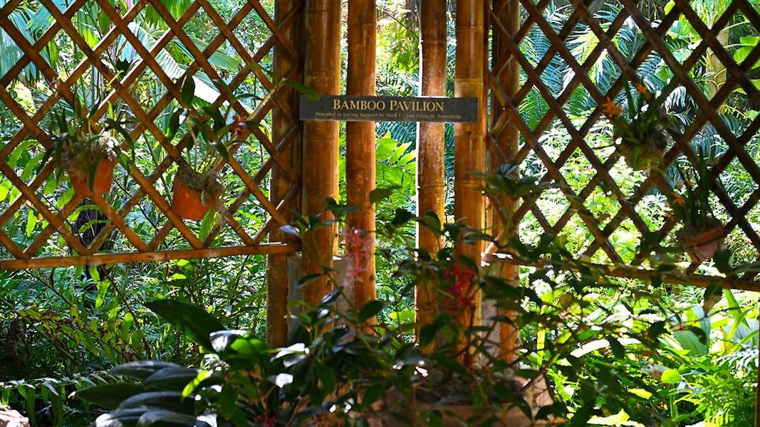 Image 124 of a home in Veranda Oaks.