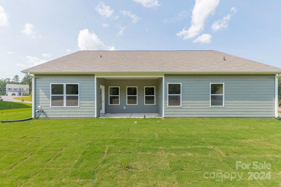 Back covered patio and large yard