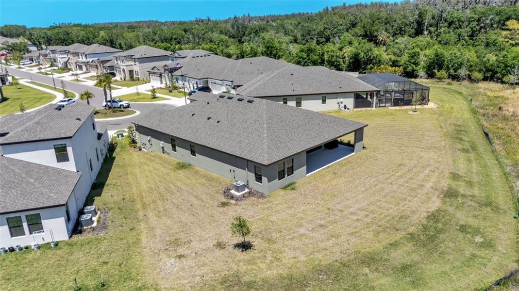 Exterior details and patio area of a home in Hawkstone, Lithia (Image 37).