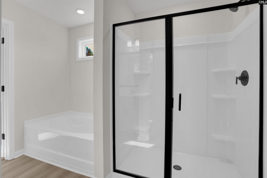 Furnished interior view inside a new home in Rolling Hills, Prosperity (Image 10).