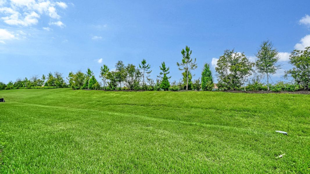 Natural landscape and outdoor views near Palm Grove in Lakewood Ranch (Image 32). Natural landscape and outdoor views near Palm Grove in Lakewood Ranch (Image 32).