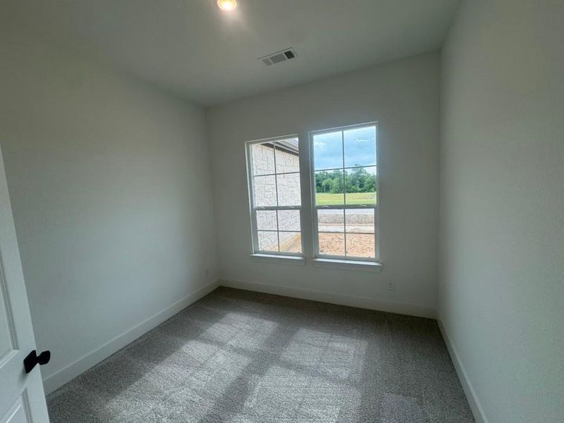 Room featuring two double-hung windows, light gray carpet, white baseboards, and a contemporary flush-mount ceiling light