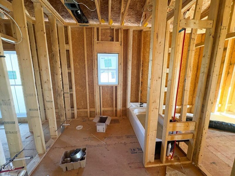 Photo Jan 19 2026, 9 58 32 AM (Medium)