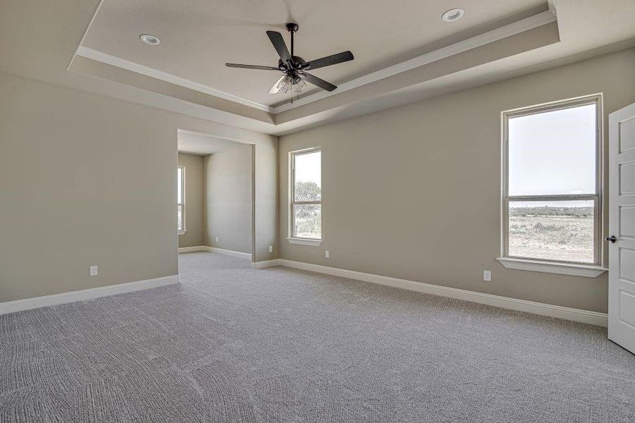 Carpeted spare room featuring ceiling fan, a raised ceiling, and a healthy amount of sunlight