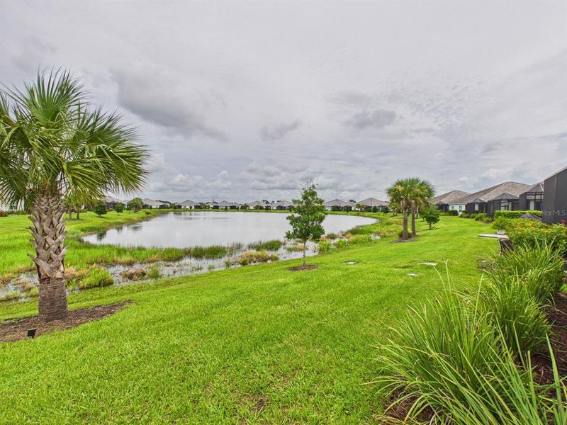 Natural landscape and outdoor views near in Sarasota (Image 71). Natural landscape and outdoor views near in Sarasota (Image 71).