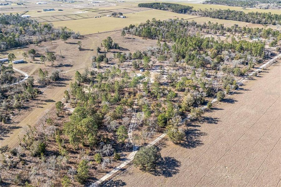 Natural landscape and outdoor views near  in Williston (Image 24).