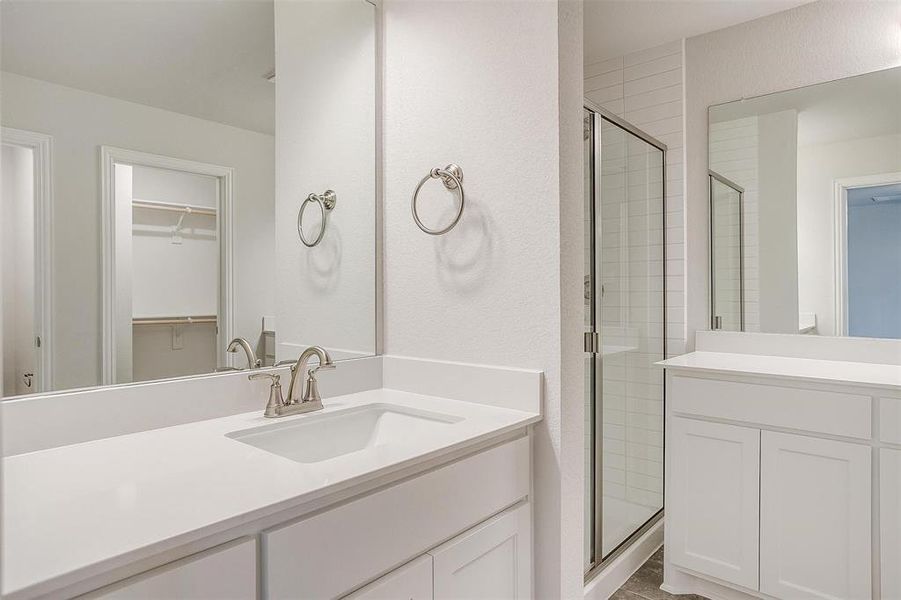 Bathroom featuring a stall shower, a spacious closet, and vanity