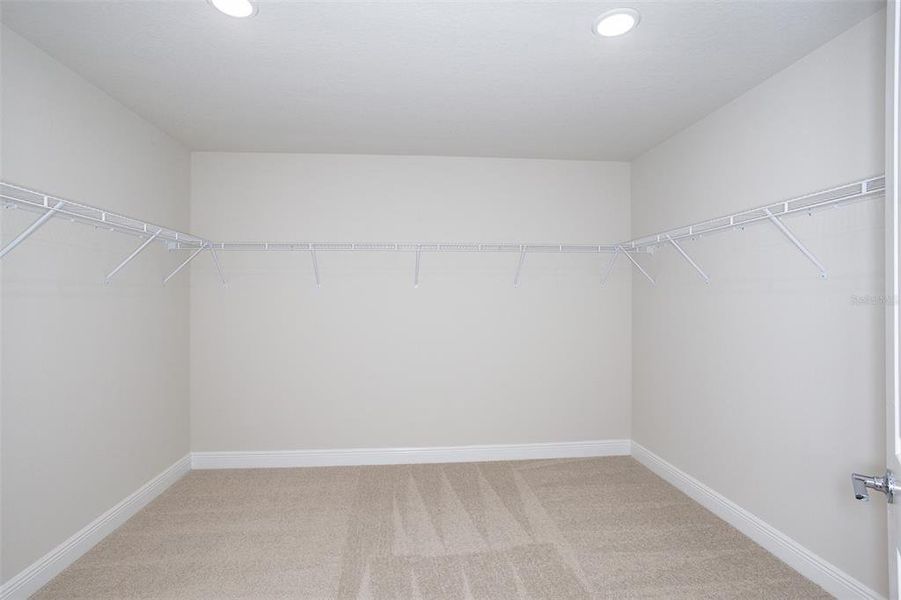 Spacious, unfurnished interior of a new home in Pasadena Landing, Wesley Chapel (Image 22).