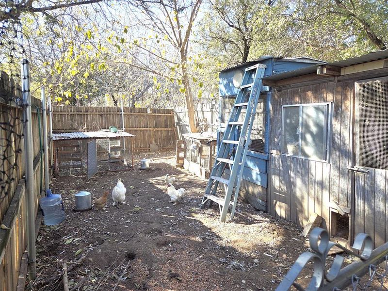 Chicken coop or dog run