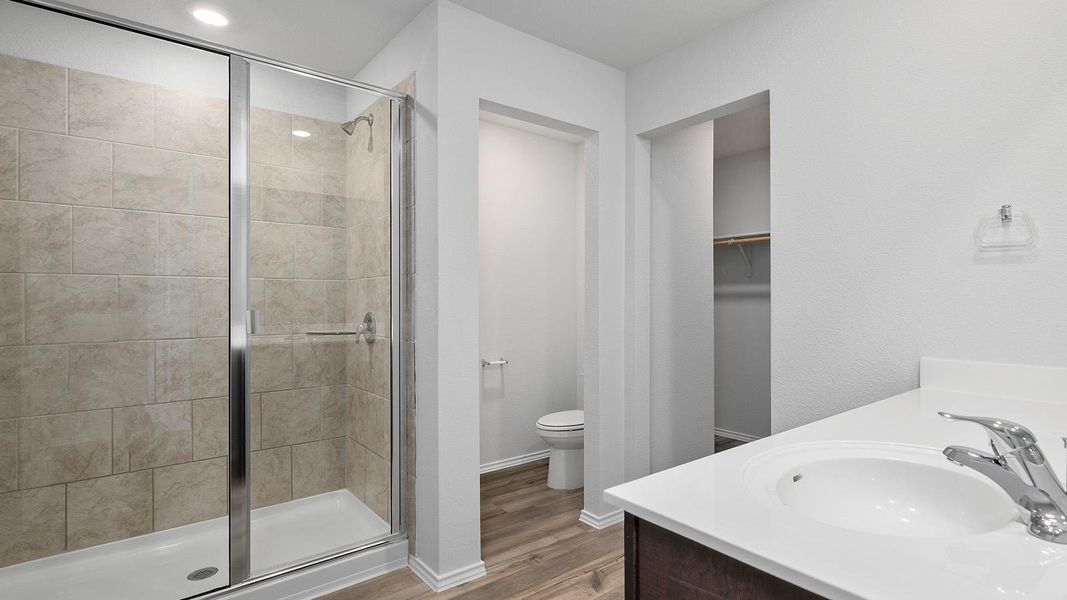 Full bathroom with vanity, a shower stall, a walk in closet, light wood-style floors, and recessed lighting