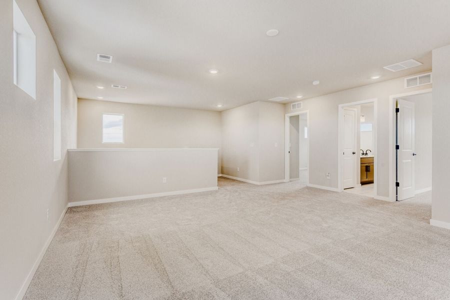 13712 DAFFODIL POINT, Parker, CO.  - Slide 10