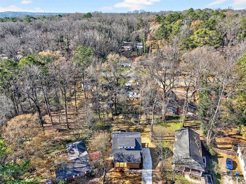 Natural landscape and outdoor views near  in Atlanta (Image 31).