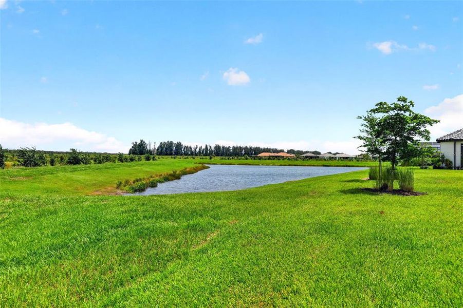 Natural landscape and outdoor views near Skye Ranch Community Group Page in Sarasota (Image 56). Natural landscape and outdoor views near Skye Ranch Community Group Page in Sarasota (Image 56).
