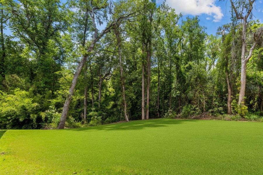 Natural landscape and outdoor views near in Quincy (Image 42). Natural landscape and outdoor views near in Quincy (Image 42).