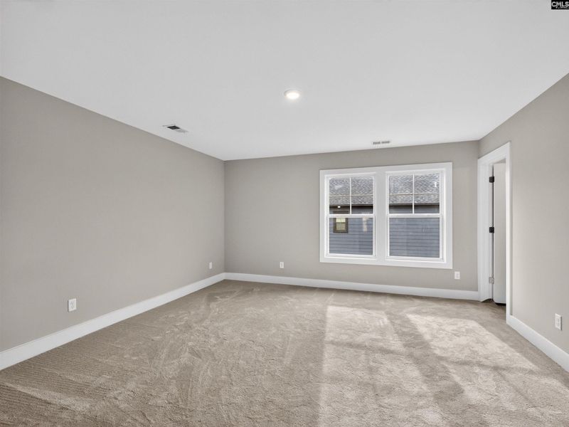 Spacious, unfurnished interior of a new home in Collins Cove, Chapin (Image 35).