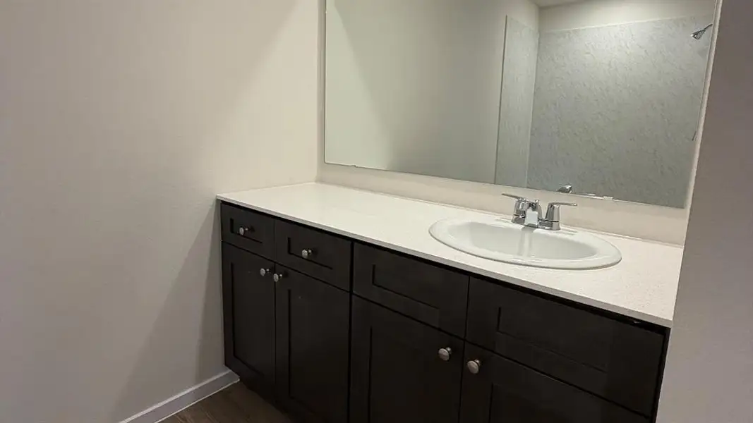 Bathroom with vanity and dark wood-type flooring
