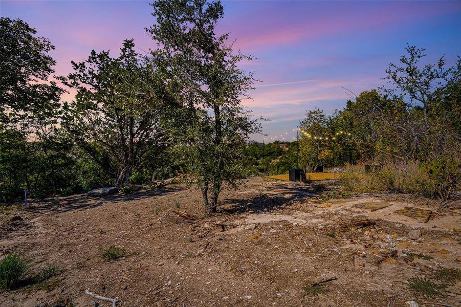 View of nature at dusk View of nature at dusk