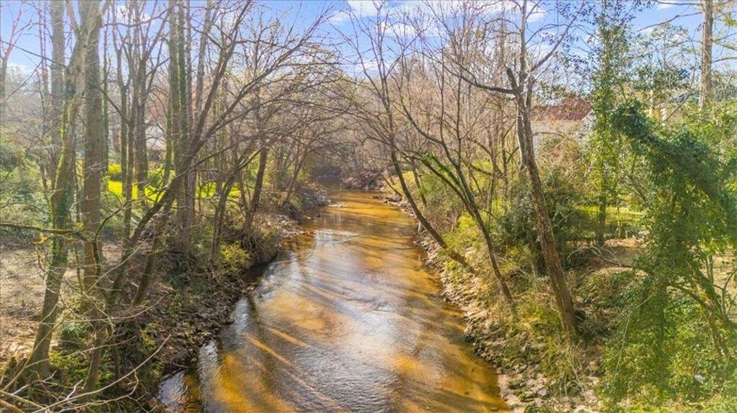 Natural landscape and outdoor views near  in Atlanta (Image 83).