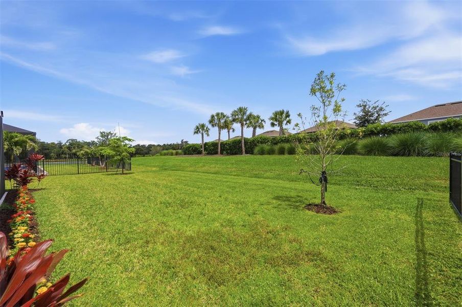 Natural landscape and outdoor views near in Sarasota (Image 42). Natural landscape and outdoor views near in Sarasota (Image 42).