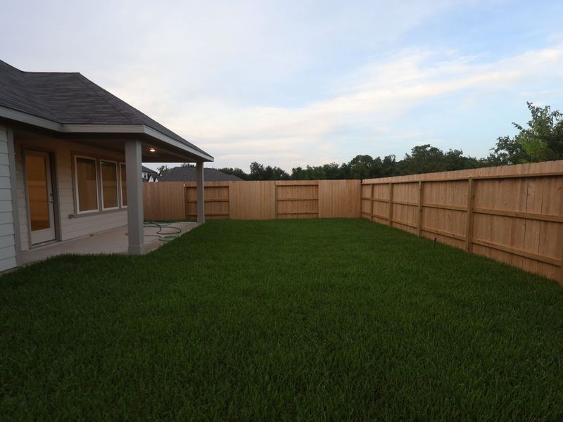 Backyard