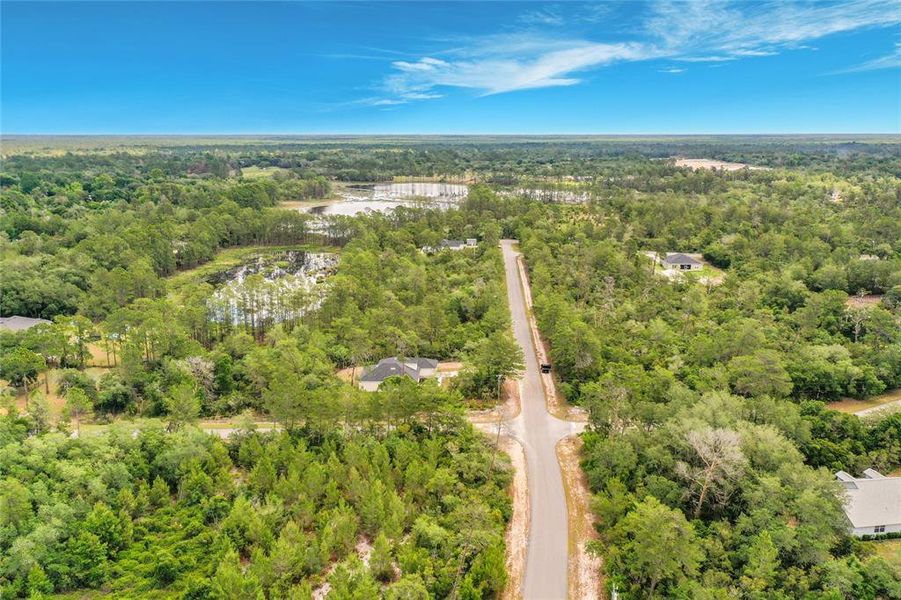 Natural landscape and outdoor views near  in Eustis (Image 48).