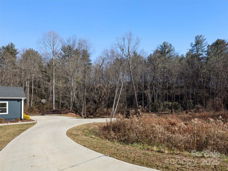 Natural landscape and outdoor views near  in Hendersonville (Image 29).
