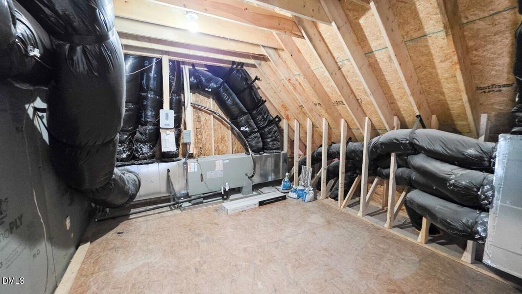 212 Rawhide (1) (Medium)