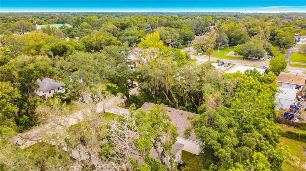 Natural landscape and outdoor views near  in Orlando (Image 48).