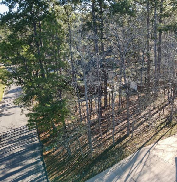 Natural landscape and outdoor views near  in Huntsville (Image 10).