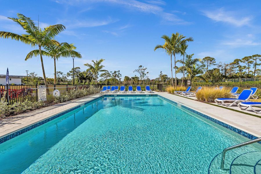 Community Pool