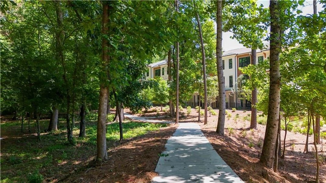 Get outside in nature to re-focus!